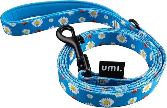 Amazon Amazonブランド Umi ウミ 犬用リード 訓練リード リード 小型 中型 大型犬用リード ナイロン製 頑丈 訓練 散歩用 頑丈 ペット用品 ジョギング Daisy Blue Umi ウミ リード 通販