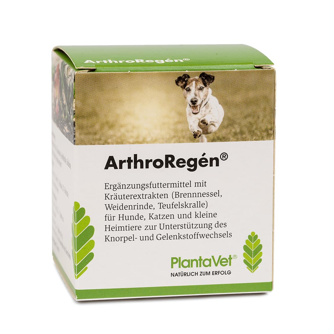 SaluVet ArthroRegen dla psów w przypadku problemów ze stawami, 300 tabletek