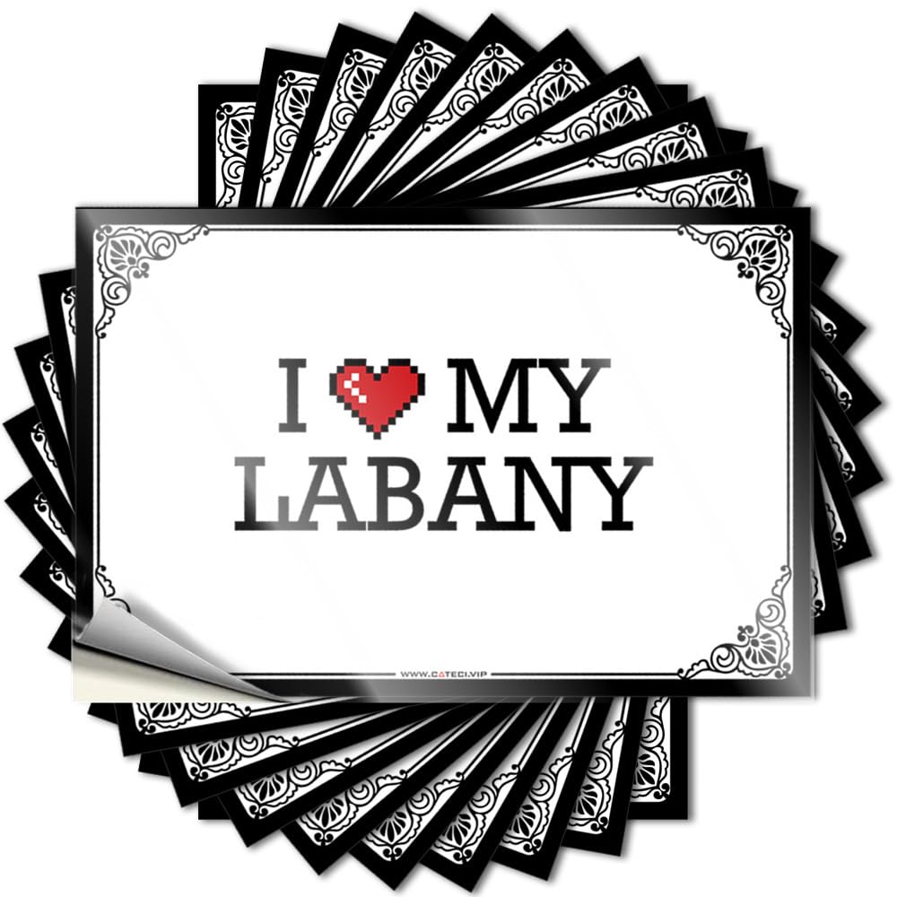 I Love My Labany Book Books - Decals Bumper Removable Vinyl Decal(12X18CM)