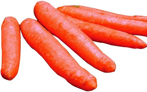 Miniatura 2 de Park Seed Semillas de plantas de zanahoria, variedad de tamaños y colores de paquete, jardín de primavera, mezcla de arcoíris, paquete de 200