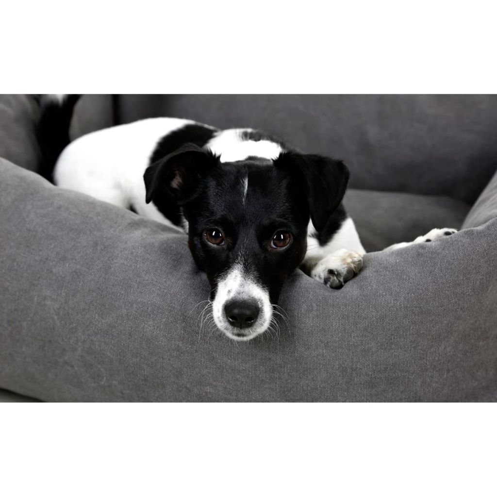 Kerbl 80347 - Letto Morbido Lucca (Colore Grigio, L x P x A 70 x 85 x 24 cm, Cuscino per Cani, con Cuscino Estraibile