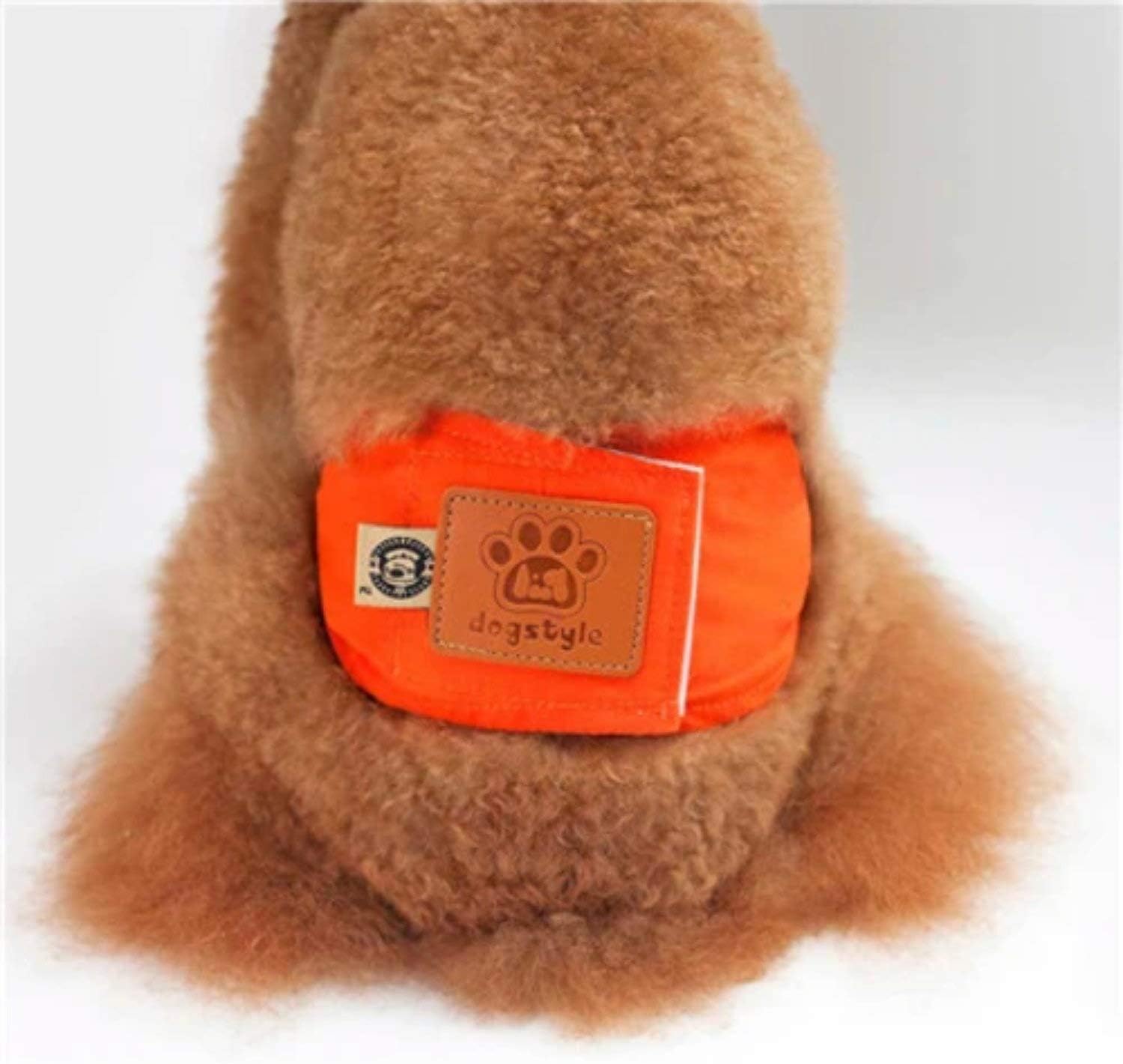 Quality Male Pet Dog Physiological Pants Boy Puppy