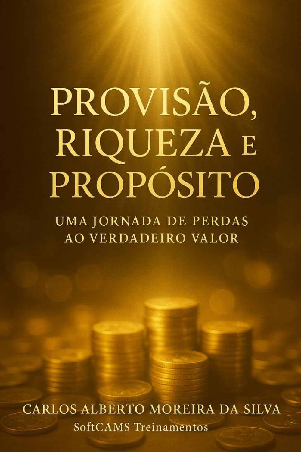 PROVISÃO, RIQUEZA E PROPÓSITO: Uma Jornada de Perdas ao Verdadeiro Valor (Gestão do Valor)