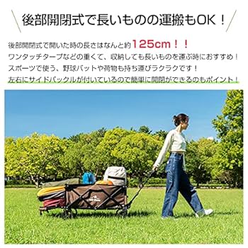 Amazon.co.jp: Kaitou 開閉式キャリーカート 大容量 キャリー