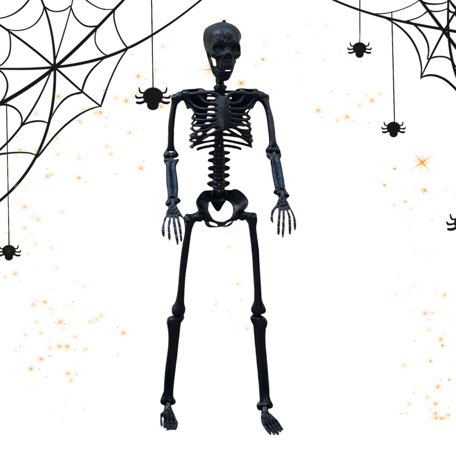 Decoración Esqueleto Halloween Modelo De Huesos Humanos Articulable Para