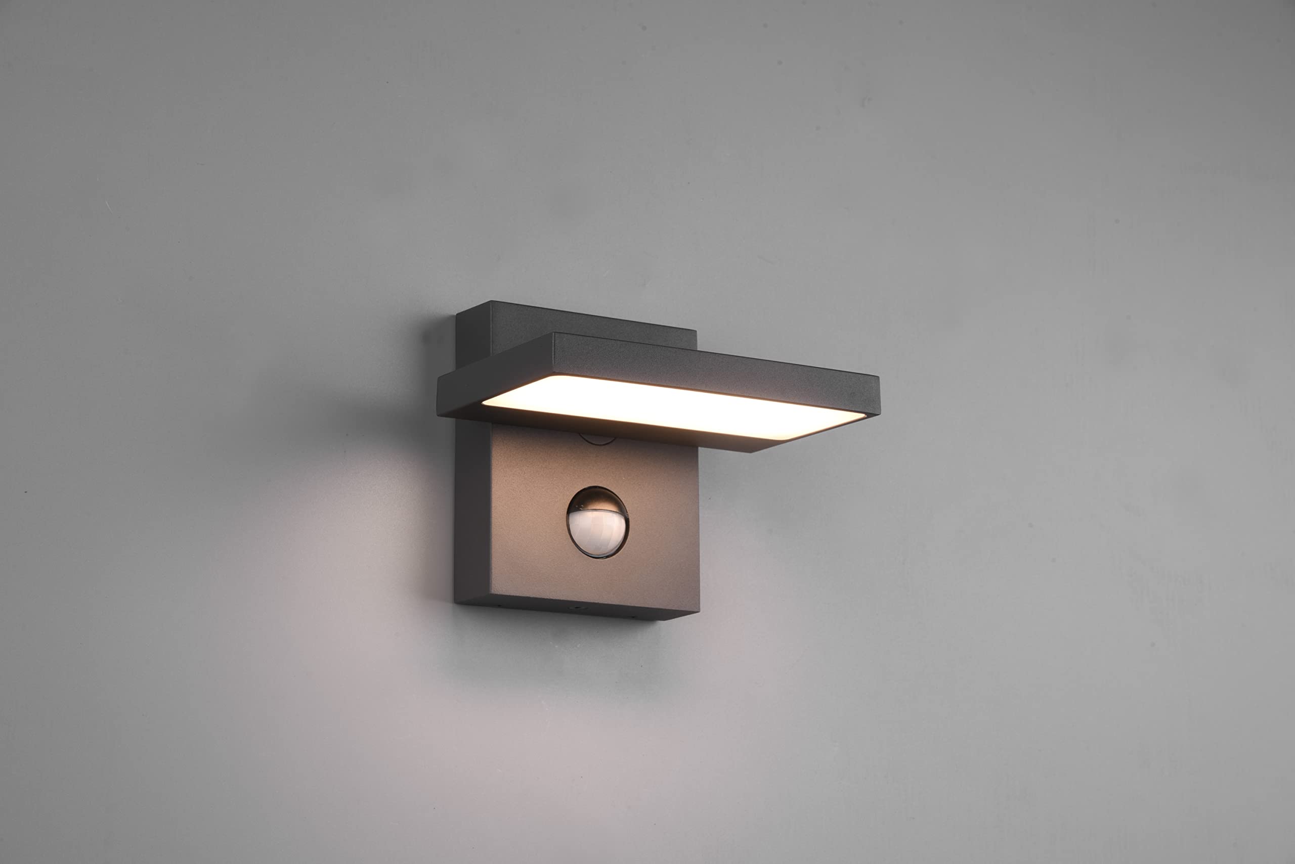 Trio Leuchten LED Außen Wandleuchte Horton 226360142, Aluminium Druckguss Anthrazit, inkl. 8 Watt LED, inkl. Bewegungssensor