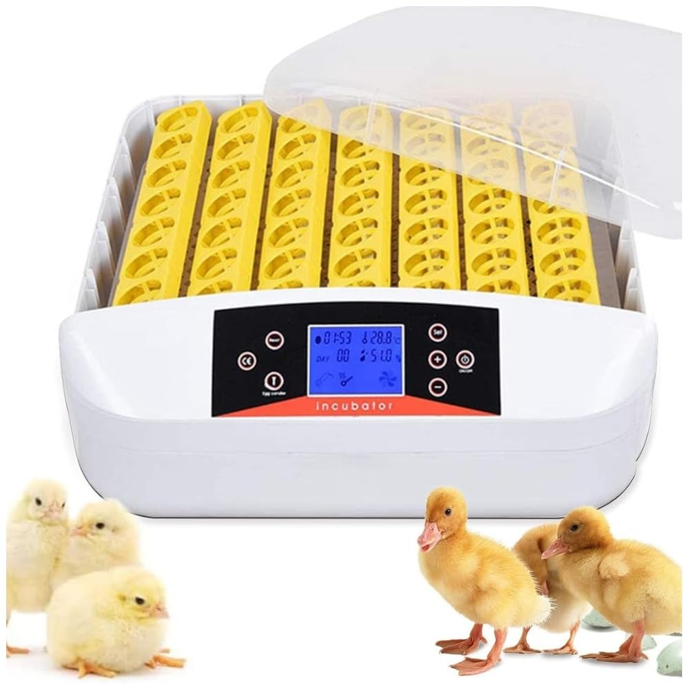 ZOLTA Automatischer Inkubator für 56 Eier LED Ei Tester Temperatur Feuchtigkeitsregler Alarm Hühner Gänse Wachteln Enten Drehfunktion Brutmaschine Brüter Brutkasten mit Display und Zubehör