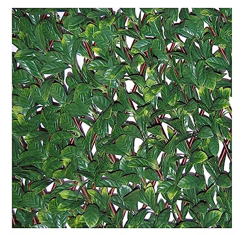 Tenax Hecke PU auf Ausziehbares Rankgitter Divy grün 200 x 4 x 100 cm 1 a150277