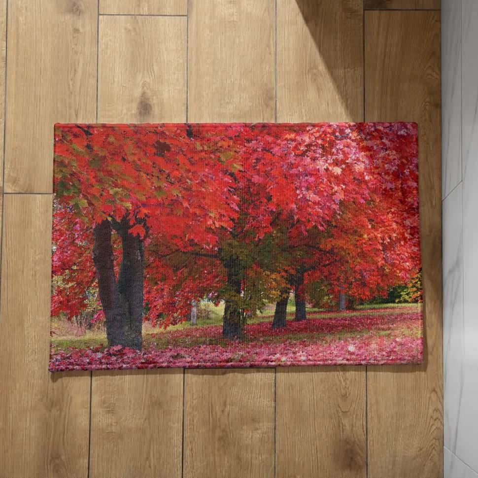 CEVAN Alfombra Cocina Lavable Lavadora Felpudo Casa Entrada Paisaje Natural Alfombra Cocina Absorbente Y Antideslizante Felpudo Entrada Home 40x60cm