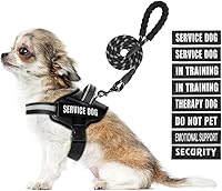 Vista 1 de Juego de arnés de chaleco y correa para perro, arnés de entrenamiento para perro con 10 parches para perros, correa reflectante para perro con mango