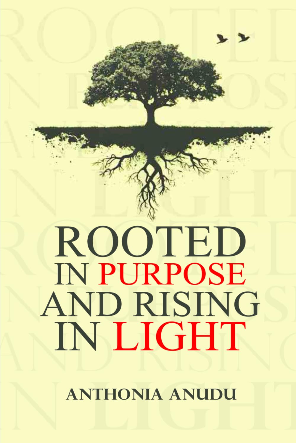 ROOTED IN PURPOSE, RISING IN LIGHT: Reflections on Growth, Grace and the Light We Carry