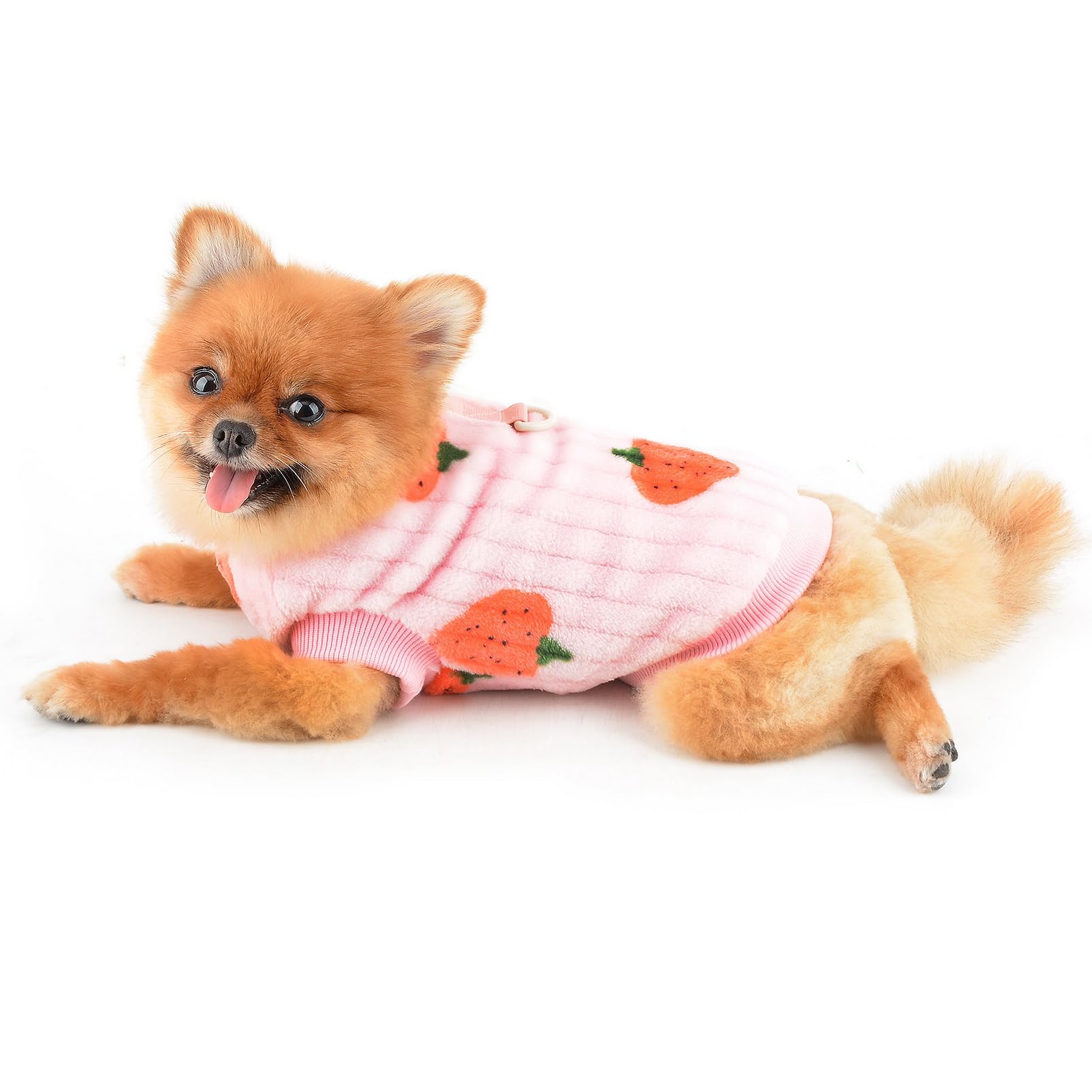 SMALLLEE_LUCKY_STORE Dog Fleece Jumpers for Small Dogs Cat Pet Pullover Sweatshirt with Strawberry Print and D-ring - Image 3