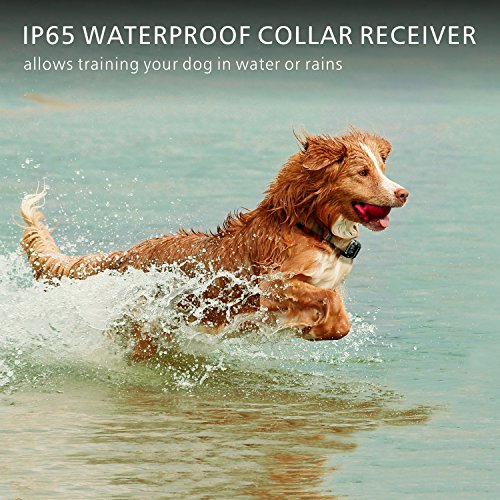 F-color Dog Training Collar, Rechargeable Waterproof Dog Shock Collar 2600ft Remote Range Dog Trainer Collar with Beep Vibrating Shock for Medium Large Dogs, Electronic Dog Training E-Collar - Thumbnail 6