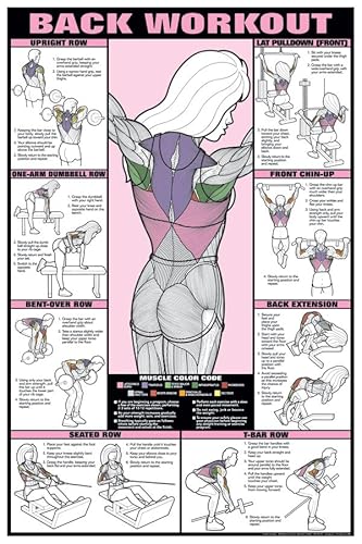 ALGRA Co-Ed Back Workout Poster 24