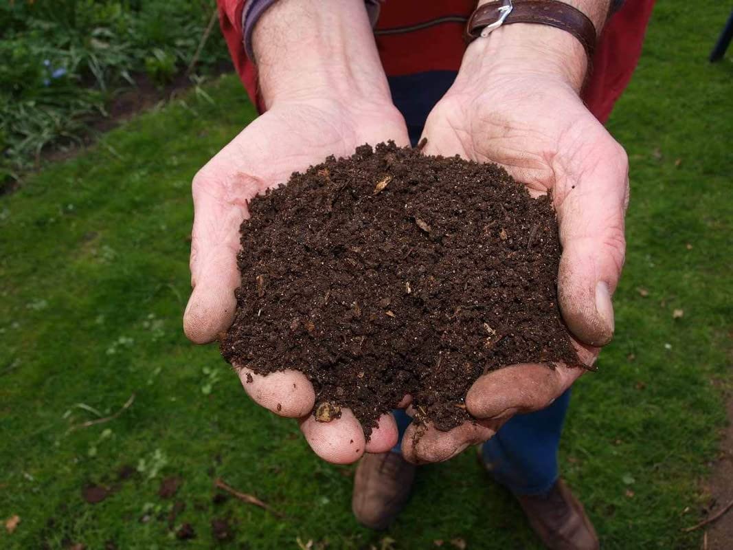See full amazon price history chart for JAV Cow Manure Vermicompost, Organic & Natural Plant Nutrient for Home Gardens and Potting Mix - 10 KG. JAV Cow Manure Vermicompost, Organic & Natural Plant Nutrient for Home Gardens and Potting Mix - 10 KG. (B0BN6GGYTM) Amazon Price History, Amazon Price Tracker