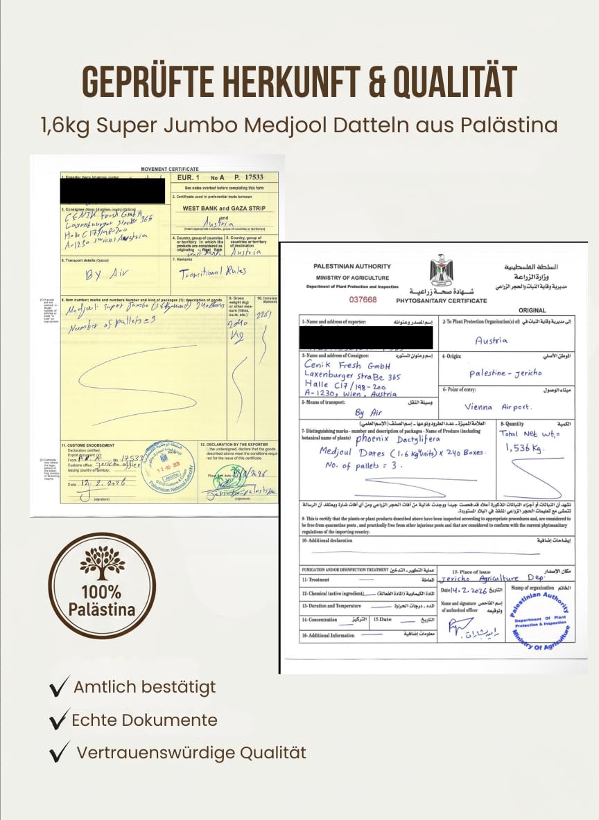 SUPER JUMBO Medjool Datteln 1,6kg - Direkt aus Palästina - Jede Dattel einzeln präsentiert - LIMITED EDITION!- Sichtbar selektierte Premium Qualität - weich & saftig