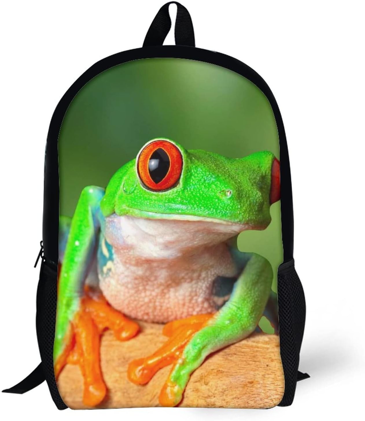 Buy Ted Eyed Tree Frog Teen Large Study 