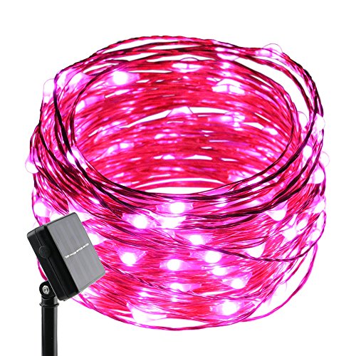 Best Solar Powered Grow Lights