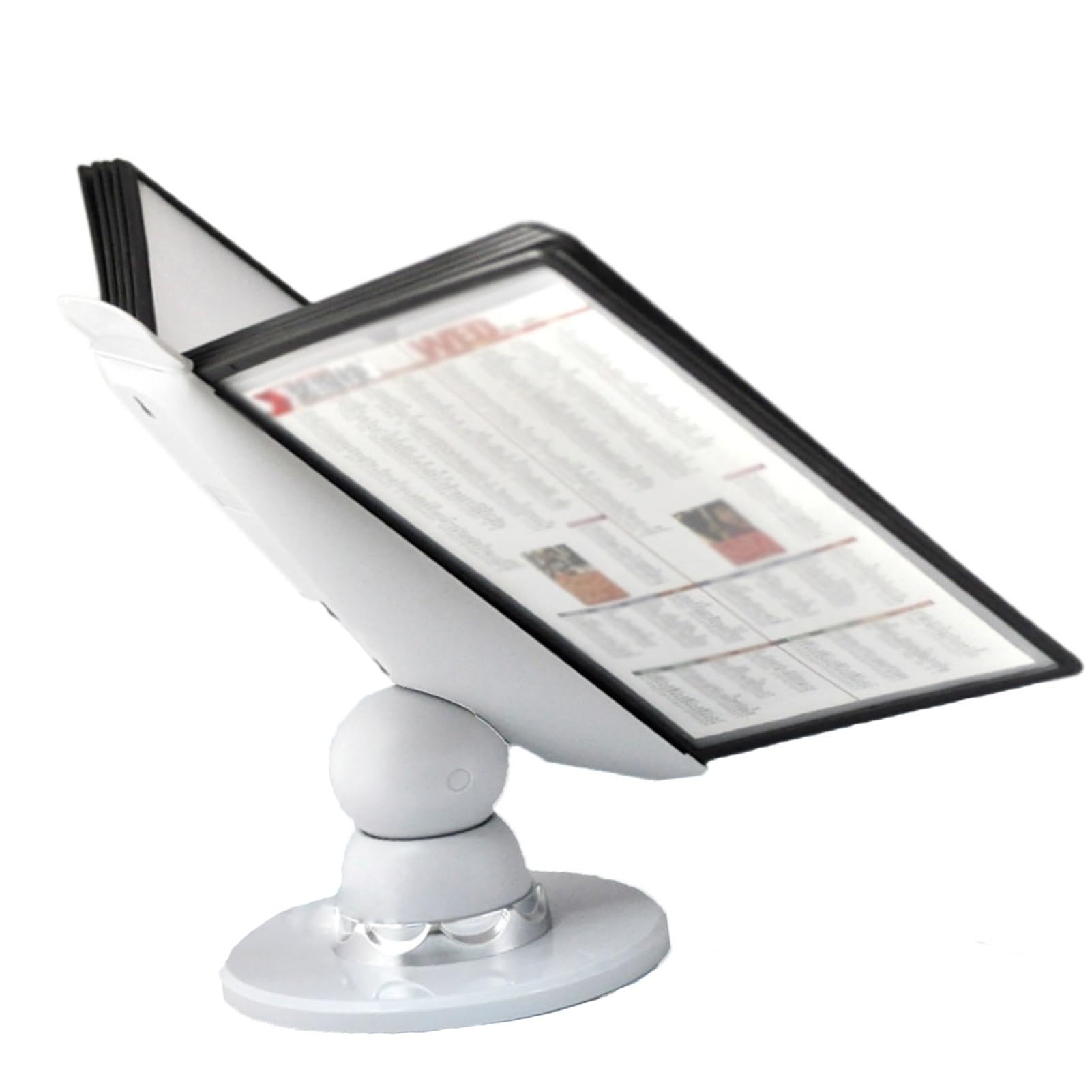 JOUFNING Desktop Reference Organizer - Catalog Display Rack, 10 and 20 Page Double-Sided Panels, Desktop Document Holder, Multi-function Menu Promotion Display Rack(10 pages)