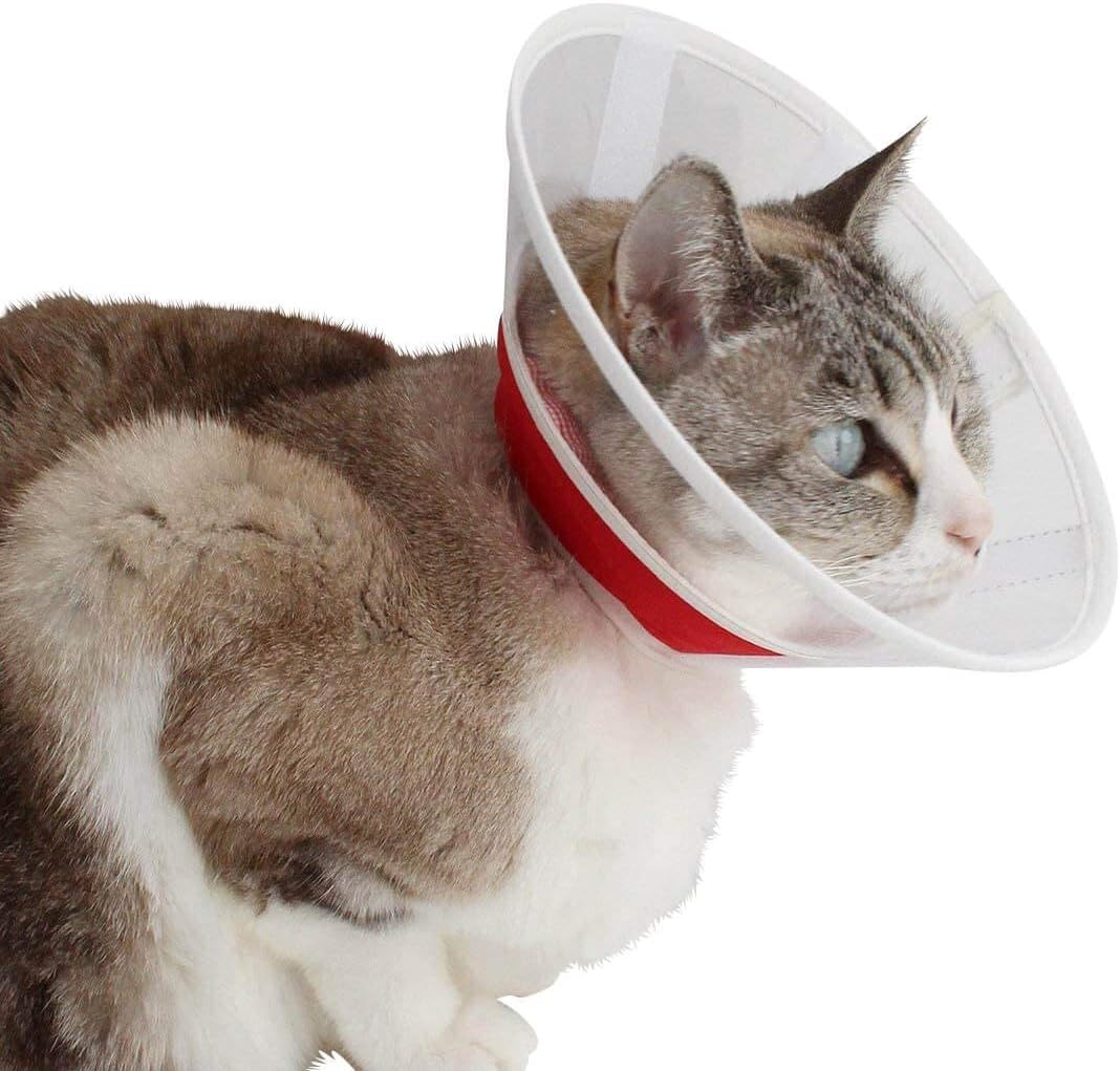 Amazon | nekozuki 猫 エリザベスカラー 獣医推薦 軽い 首周り