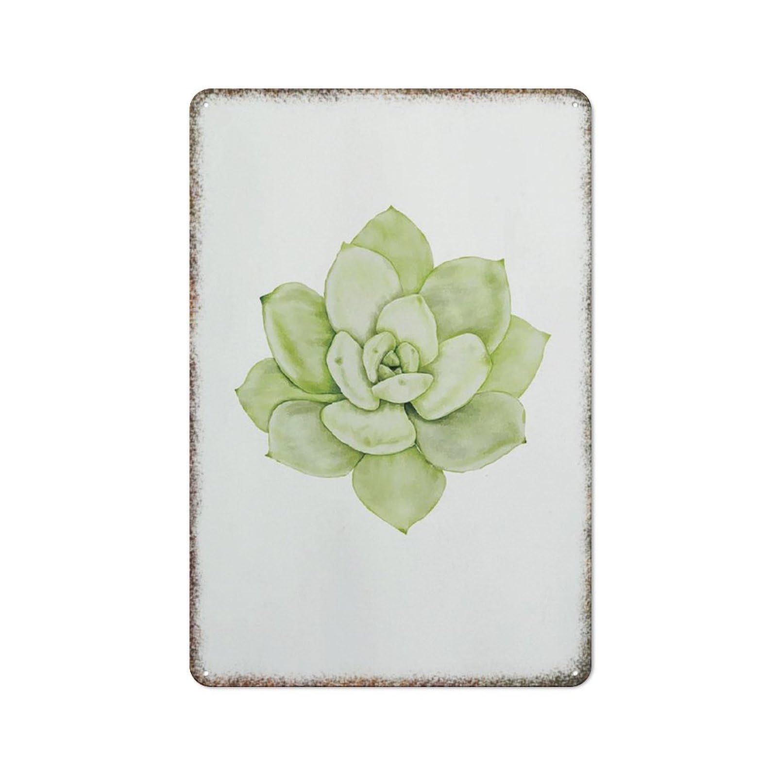 Succulent Plant Watercolor Wall Art Humorous Fashion Style Fence House Garden Tin Decor Sign 8x12 Inch