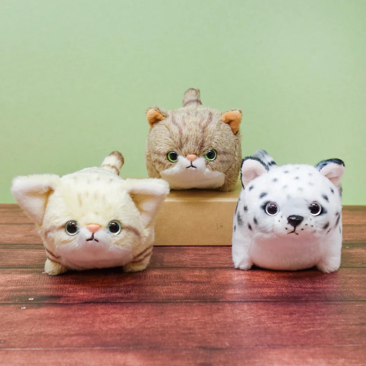 Amazon.co.jp: 内藤デザイン研究所(Naitou Design) ぽちゃまるネコ科