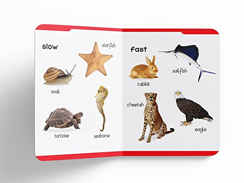 My First Padded Book Of Opposites: Early Learning Padded Board Books For Children #TOP1