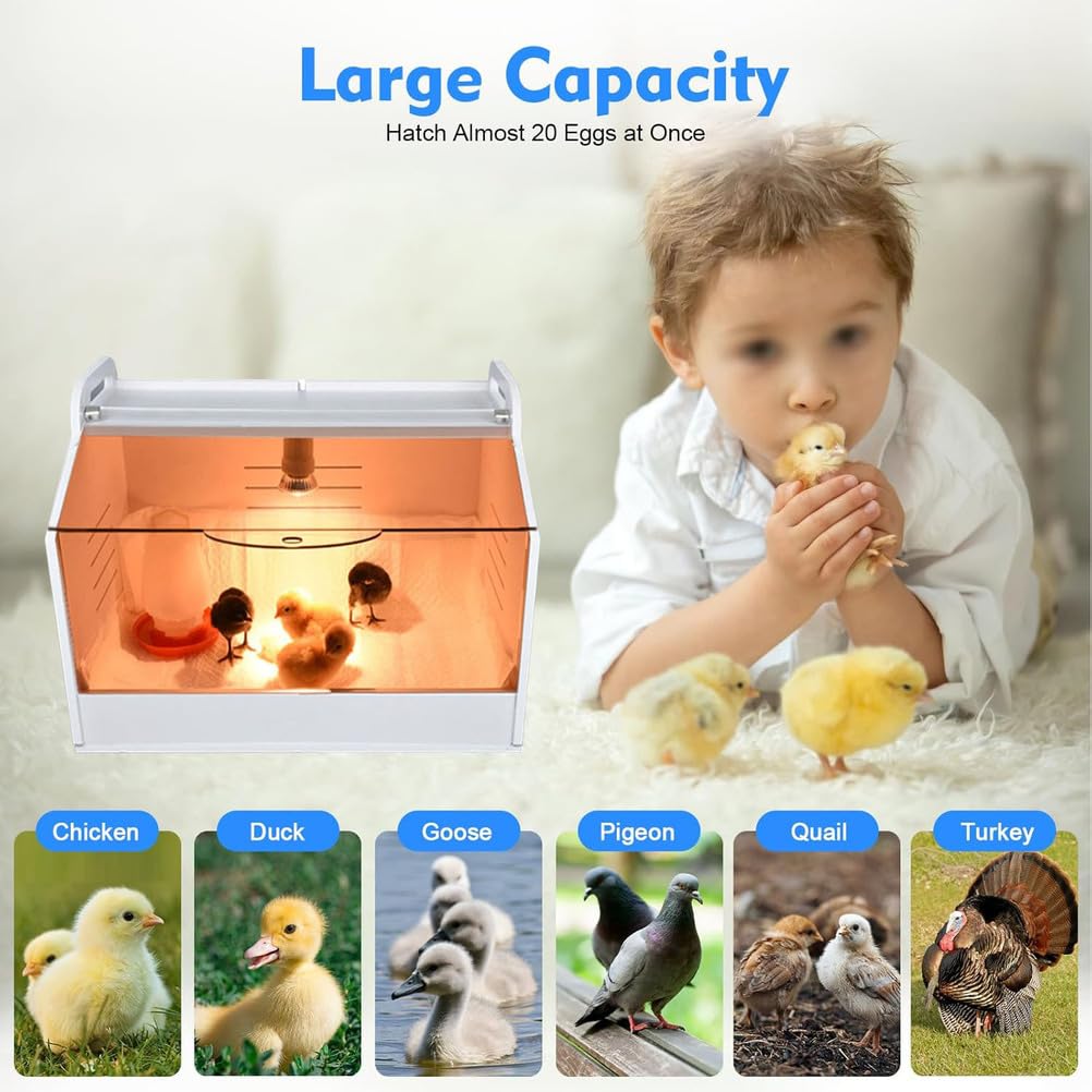Aves De Corral Equipo De Caja De Cría De Pollitos, Caja De Cría De Pollitos Juego Completo,Caja De Cría Caja De Cría con Apertura Transparente, para Patos De Pollo, Aves,Large 9 Piece Set