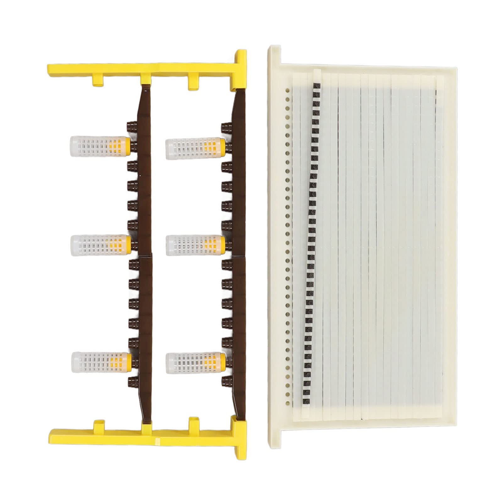 Kit de Cría de Abeja Reina Copa de Celda de Apicultura Juego de Marco de Cría de Abeja Reina para Apicultores - de Cría de Abejas Eficiente y Protector para Principios de
