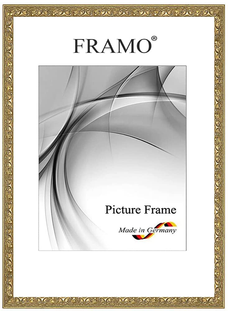 FRAMO Barock Bilderrahmen 40 x 120 cm aus Massivholz | Alt-Gold | Farbe/Größe wählbar | Retro Vintage Antik Rahmen N°109