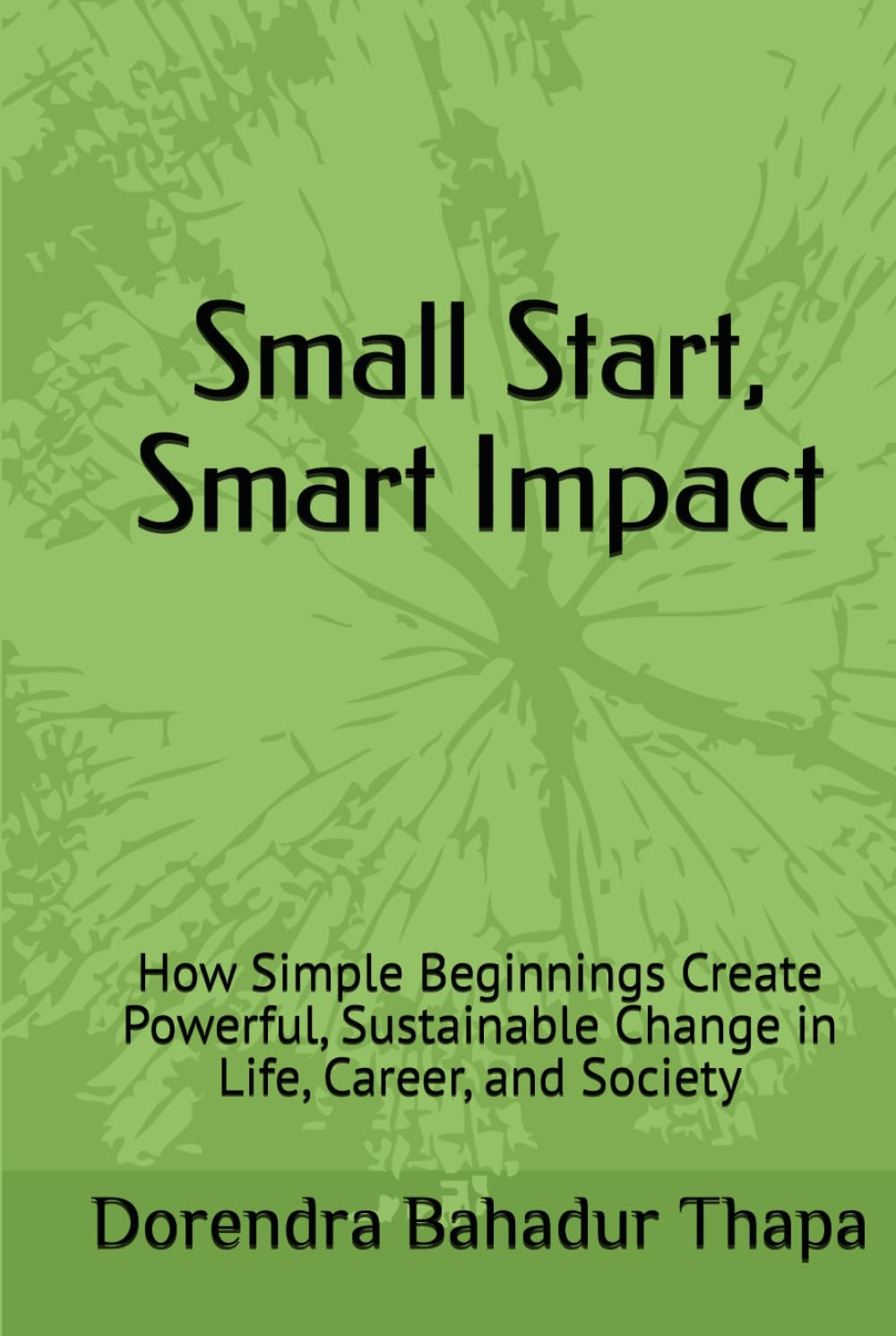 Small Start, Smart Impact: How Simple Beginnings Create Powerful, Sustainable Change in Life, Career, and Society