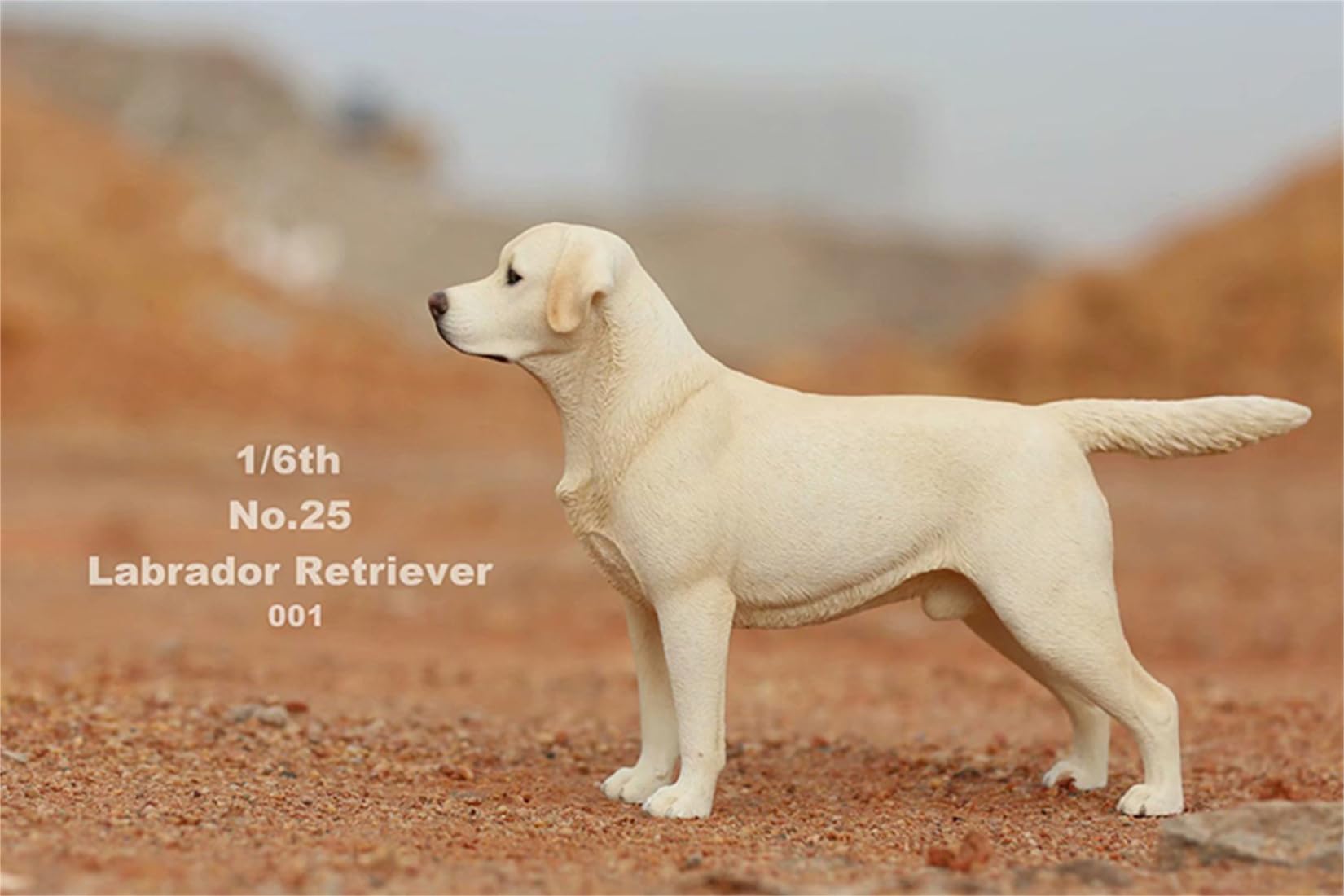 Amazon.co.jp: 1/6 ラブラドール・レトリバー 犬フィギュア 24cm級 PVC