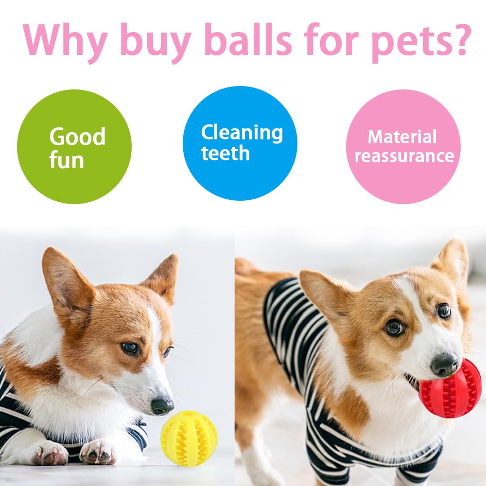 Igliori Palline Per Cani Taglia Piccola - Guida Alla Scelta