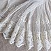 Beautiful By Design Beige 4-1/2 Yards 6-5/8 Inches Wide Embroidered Soft Mesh Lace Trim Fabric Ribbon Curtain Accessory Craft Lace