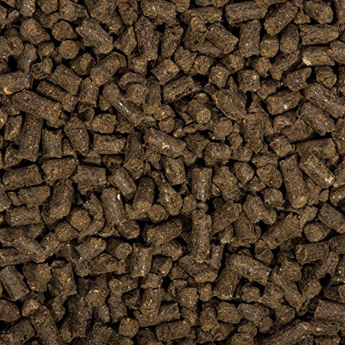 Compo BIO Gehölz-Langzeit-Dünger mit Schafwolle für Koniferen, Hecken, Sträucher & Bäume, 5 Monate Langzeitwirkung, 2 kg - 5