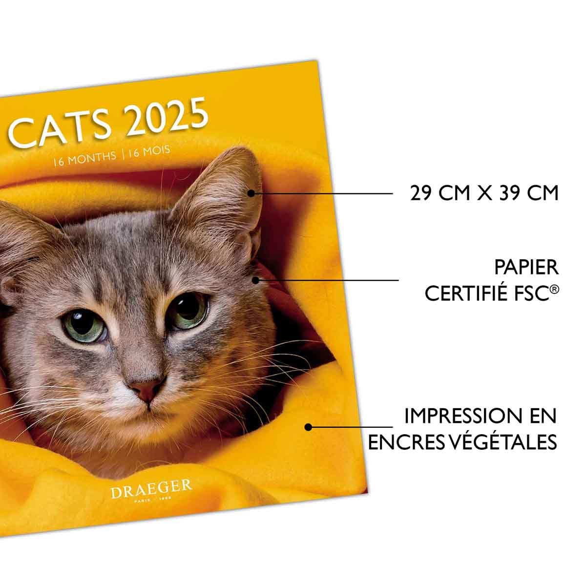 Large Wall Calendar 29 x 29 cm 2025, September 2024 to December 2025-15 Months, Days and Months Written in 7 Languages - Image 3