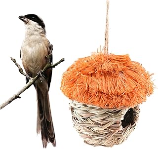 FOMIYES Pet Nest Bird House Handwoven Nest Bird Grass Nests Fish Worm Feeder Bird Hut Bird Ladders for Cockatiels Cat Mat with Wall To Weave Straw Nest Gerbil Parrot