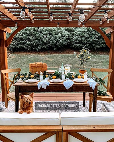 Brightech Ambience Pro - Waterproof, Solar Powered Outdoor String Lights - 48 Ft Vintage Edison Bulbs Create Bistro Ambience On Your Patio - Commercial Grade, Shatterproof - 1W LED, Warm White Light