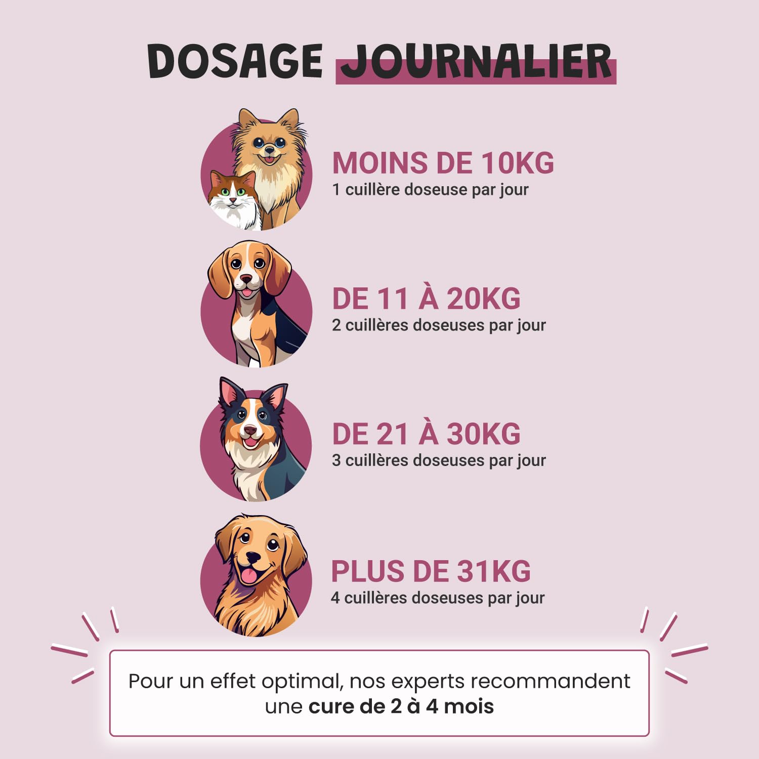 Articulations Chien Chat - Complément Alimentaire Anti-Arthrose - Harpagophytum Glucosamine Chondroïtine MSM Krill - Mobilité & Souplesse - Formulé par des Vétérinaires - Fabriqué en France