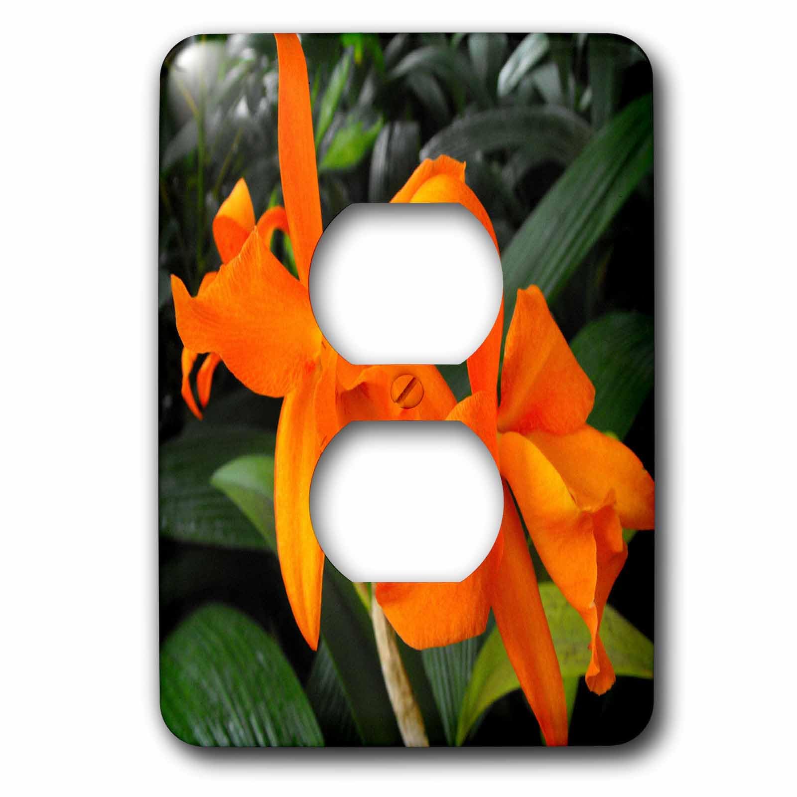 Cattleya Orchidée Orange plaque 2 prises 3dRose lsp_22529_6