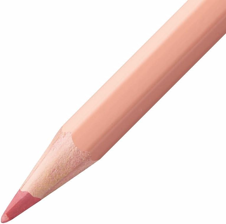 Aquarellable Coloring Pencil - STABILOaquacolor - Tin of 24 - Assorted Colors