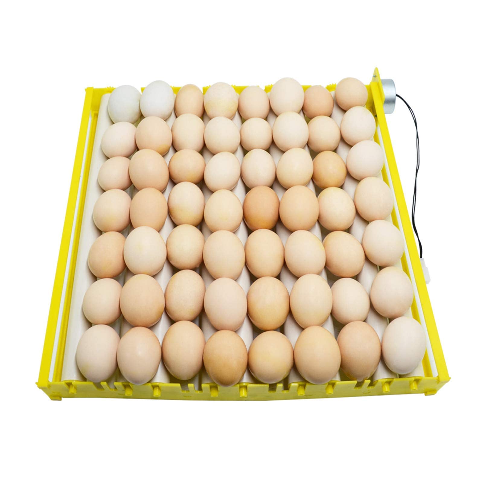 nouveau Design automatique plateau à oeufs rotatif 13 Tubes plateau de tournage d'oeufs avec moteur 12V / 220V éclosoir pour poulets