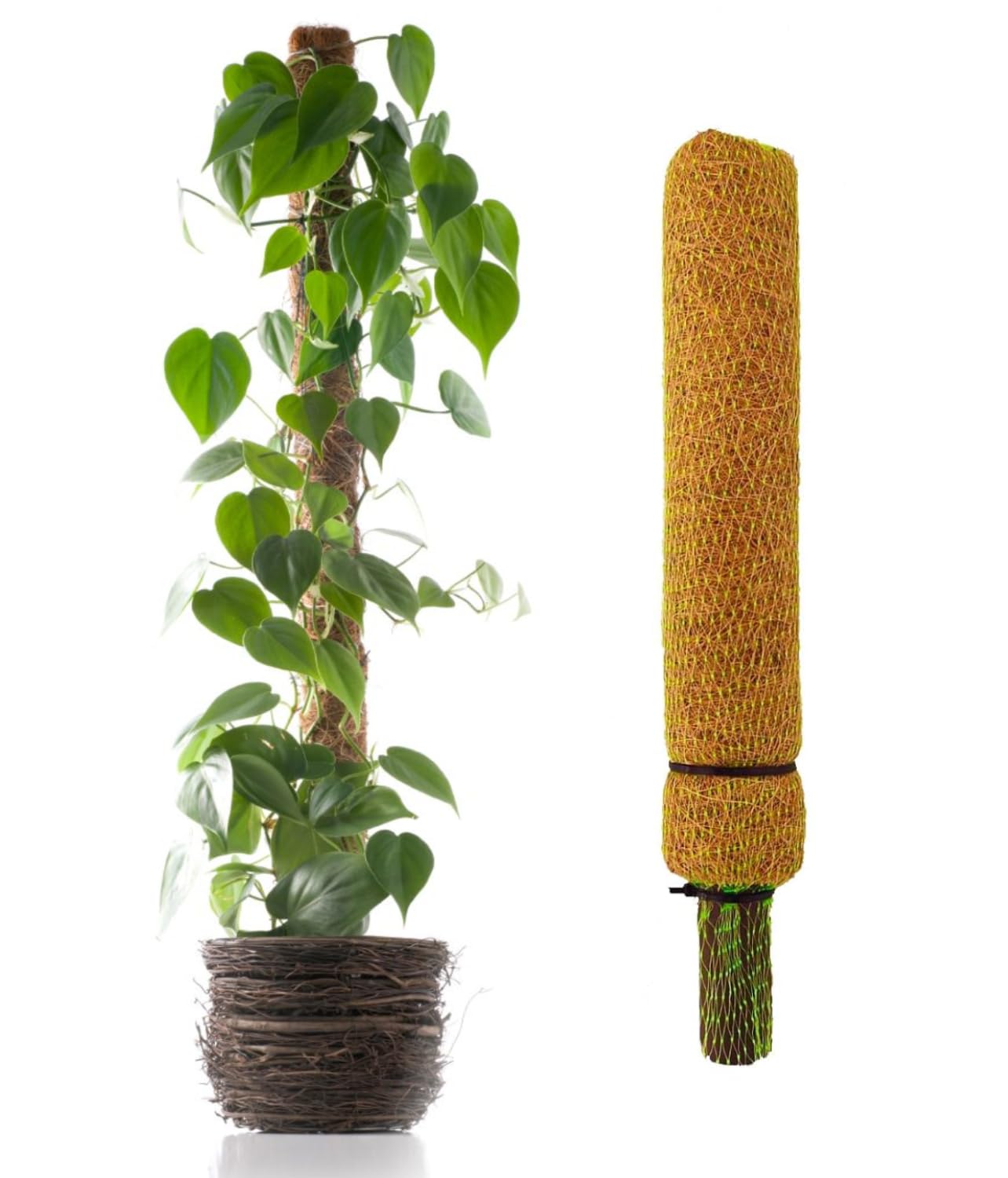 Smart Garden Coir Moss Stick/Coco Pole for Climbing Indoor & Outdoor Plants | Green Grass Pole for HOUSING Plants, Creeper Support | Moss Stick - (1 Feet, Pack of 1)