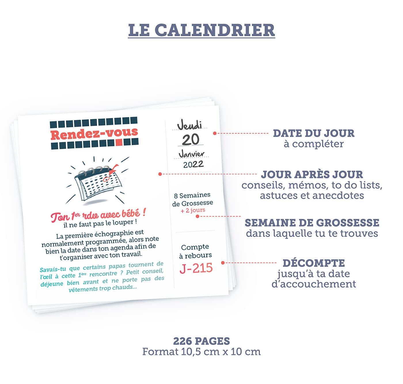 Calendrier de Grossesse Futur Papa