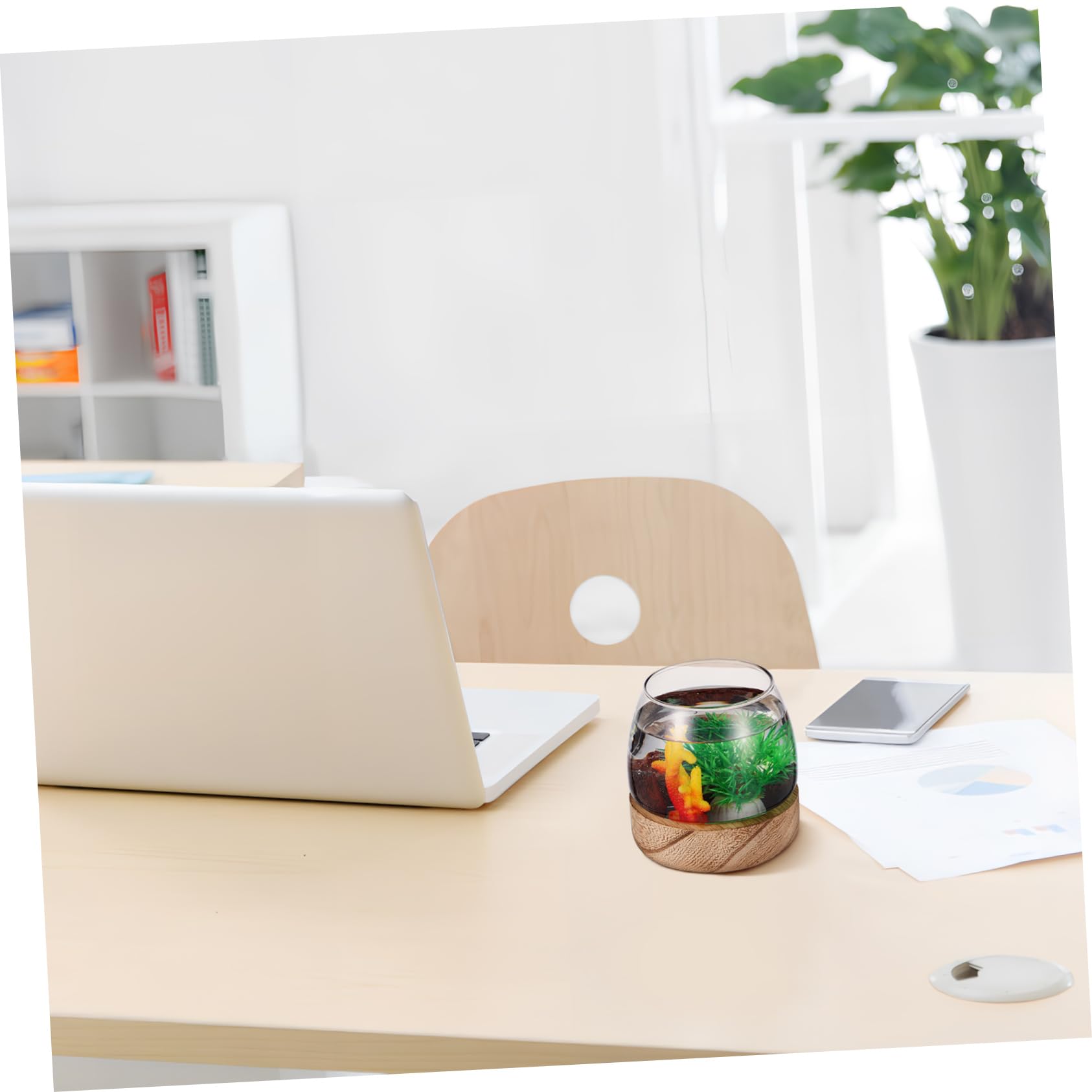 Happyyami 3kawałki Szklana Miska Akwarystyczna Do Ryb Uniwersalne Terrarium i Wazon Rośliny Elegancki Element Dekoracyjny Do Domu Wytrzymałe Szkło Stół i Biurko