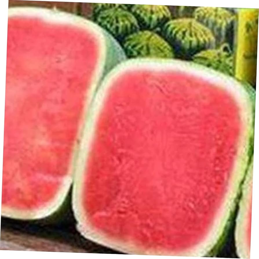 Amazon.co.jp: Cabilock スイカ成形用カビ 耐圧性素材使用 果物