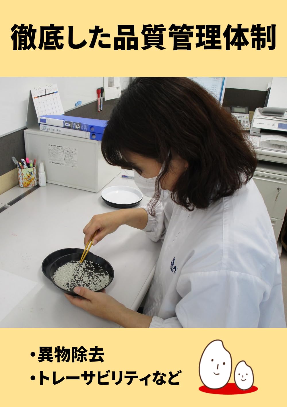 国産ブレンド米 10kg（5kg＊2）小粒米 精米 お米 白米 おこめ kots…