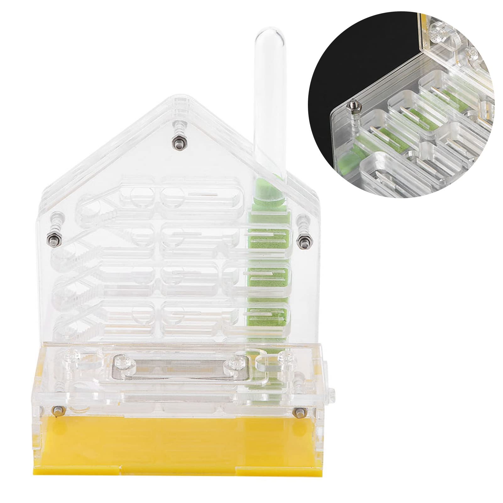 Formicarium Nourriture pour Fourmis 12×11×8 Acrylic Farm The Farm is Alive