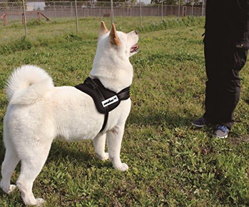 unho dog harness