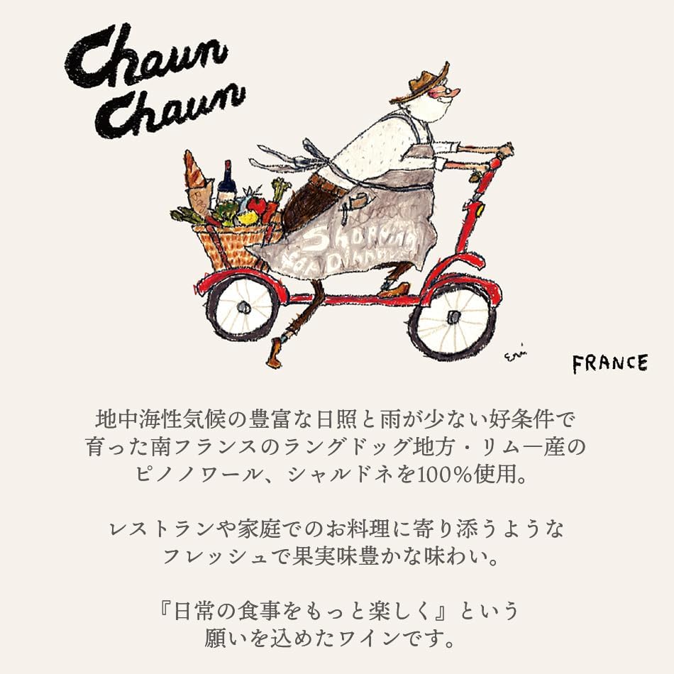赤ワイン ワイン ワインセット チャウン チャウン Chaun Chaun ピノ・ノワール ミディアムボディ赤 BIB 3000ml